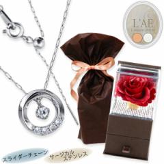 �v���U�[�u�h�t�����[ �� �l�b�N���X ���f�B�[�X ���� �h���`���[�� 1�� �X���C�h�s�� �ی^ �I�[�o�� �c�C�X�g �Ђ˂� �����O �����A��