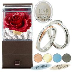 �y�A�����O 2�{�Z�b�g �X�e�����X �����A�����M�[ �v���U�[�u�h�t�����[ ���󖳗� �L�O�� �a���� ������ �����T�C�Y �}���b�W �}���b�W��