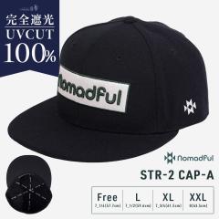 �y4�����{��菇�������zSTR-2 CAP-A(n316-g)