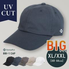 �y4��28�����5�c�Ɠ��ȓ��ɏ��������zBBI-1 CAP(n320)