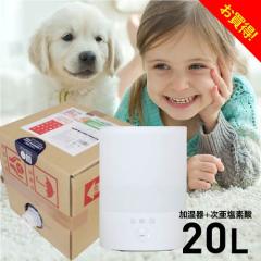 �������f�_���Ή������� �����g�� ������ ��� �ȃG�l ��e�� 2.5L�^�C�v �������f�_�� 500ppm �W�A�j�X�g 20L �p�[�t�F�N�g�Z�b�g ���� 