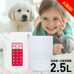 �������f�_���Ή������� �����g�� ������ ��� �ȃG�l ��e�� 2.5L�^�C�v �������f�_�� 500ppm �W�A�j�X�g 2.5L �p�[�t�F�N�g�Z�b�g ����