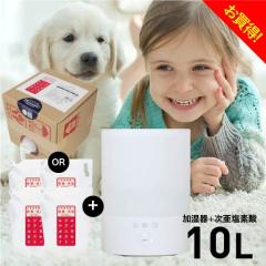 �������f�_���Ή������� �����g�� ������ ��� �ȃG�l ��e�� 2.5L�^�C�v �������f�_�� 500ppm �W�A�j�X�g 10L �p�[�t�F�N�g�Z�b�g ���� 