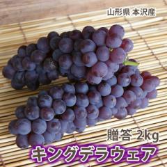 ぶどう 葡萄 ブドウ 送料無料 【 秀 贈答 キングデラ 2kg(満杯詰め) 山形市本沢産 】 キングデラウェア デラウェア お中元 ギフト 果
