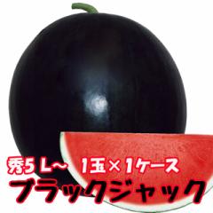 2025年 予約 ブラックジャック スイカ 種無しスイカ 送料無料【 種なしスイカ ブラックジャック 秀5L 1玉入り約10kg以上 】黒皮 尾花沢