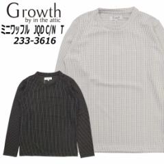 Growth by in the attic  TVc 233-3616 ~jbt WK[h N[lbN Jbg\[ JWA Y