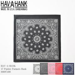 HAV-A-HANK  nonN 17 Paisley Farmers Hank 80097400 yCY[ t@[}[Y  nJ` o_i re[W [Yh nJ` 