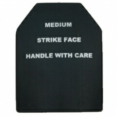 UFC �_�~�[�v���[�g 