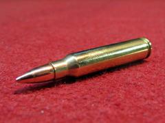 �_�~�[�J�[�g���b�W�@223REM�@5.56mm�~45�@M16