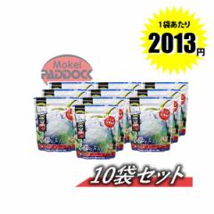 �y10�Z�b�g�zG&G�@0.2���������o�C�IBB�e 5000�� 