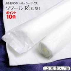 |Cg10{ j[A ڂ  \t[q vX ی^ 1200{  sDzڂ ĝĂڂ Ɩp ň