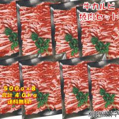 �o�[�x�L���[�Z�b�g BBQ���Z�b�g 4kg �o�[�x�L���[ ���� �ē� �Ă��� �ē��Z�b�g �Ă����Z�b�g �o�[�x�L���[�� �o�[�x�L���[ �H�� �ē��Z