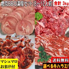 �o�[�x�L���[�Z�b�g BBQ���Z�b�g �y�}�V���}�����܂��t�z 3kg �ē� �Ă��� �ē��Z�b�g �Ă����Z�b�g �o�[�x�L���[ ���� �o�[�x�L���[ �H