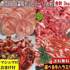 �o�[�x�L���[�Z�b�g BBQ���Z�b�g �y�}�V���}�����܂��t�z 3kg �o�[�x�L���[ ���� �ē� �Ă��� �ē��Z�b�g �Ă����Z�b�g �ؓ� �o�[�x�L��