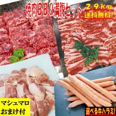 �o�[�x�L���[�Z�b�g BBQ���Z�b�g �y�}�V���}�����܂��t�z 2.9kg �o�[�x�L���[ �ē� �Ă��� �ē��Z�b�g �Ă����Z�b�g �o�[�x�L���[ �H�� 