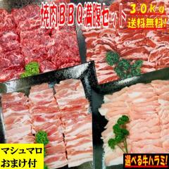 �o�[�x�L���[�Z�b�g BBQ���Z�b�g �y�}�V���}�����܂��t�z 3kg �o�[�x�L���[ �ē� �Ă��� �ē��Z�b�g �Ă����Z�b�g �o�[�x�L���[ �H�� �o