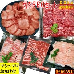 �o�[�x�L���[�Z�b�g BBQ���Z�b�g �y�}�V���}�����܂��t�z 2.3kg �ē� �Ă��� �ē��Z�b�g �Ă����Z�b�g �o�[�x�L���[ ���� BBQ �Z�b�g �o