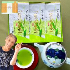 ���Ε� �V���M�t�g 2025 ���� �M�t�g �������� ���\���钃 3�܃Z�b�g ������ �v���[���g �Β� ���{�� ���t �@�� ���Ԃ� �����o�� ������