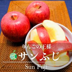 サンふじ りんご 贈答用 約3kg 6-12玉 長野県産 誕生日 プレゼント フルーツ ギフト