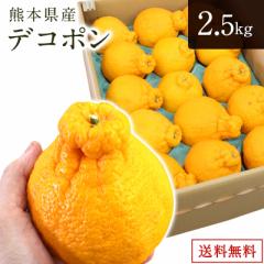 【熊本県産】デコポン 2.5kg(大玉6玉から9玉)送料無料 みかん フルーツ 柑橘 当社専用箱で出荷