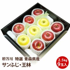 【青森県産】ふじ・青りんご 約2.5kg 9個 送料無料 りんご フルーツ 国産 特選 贈答用 お歳暮 プレゼント ギフト 【送料無料】【約2.5kg