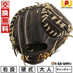 �y�����������������z �싅 �L���b�`���[�~�b�g �d���p ��l ���[���h�y�K�T�X WORLD PEGASUS �O�����h�y�K�T�X TOP �~�b�g �ߎ�p �L��