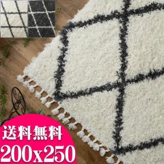 bJ O 200~250 xj  O}bg EBgD O~  3  zCg N[ O[ _[NO[ k 􉽊w 