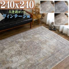 O J[ybg 240x240cm ANZgO }bg  4.5  Be[W O~  x 312,500mbg AeB[N