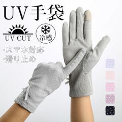 UV fB[X V[g X}zΉ bV ~ Ăh~ O΍ w  O[u Ȃ  