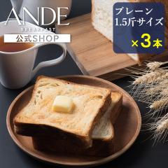 fjbV Hp ANDE v[ 1.5҃TCY~3{Zbg Af