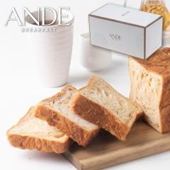 ANDE ̋ [v fjbV 1 Af