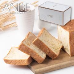 ANDE ̋ v[ fjbV 1 Af