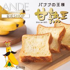 Ԍi ANDE fjbV Hp ÏnoiifjbV n[t Af