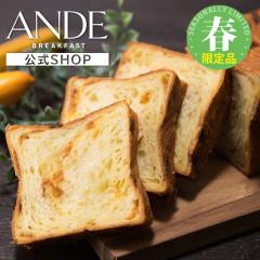 �y3-5������z ANDE �f�j�b�V���H�p�� �L���������o�i�i�f�j�b�V�� 1��