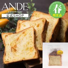 �y3-5������z ANDE �f�j�b�V���H�p�� �L���������o�i�i�f�j�b�V�� �n�[�t