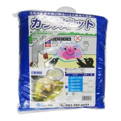 �J���X�l�b�g �F 3.0x3.0m ��������� ��4�~���ڂP�� / �l�b�g �h���� �h���l�b�g ��������