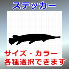 AQ[^[K[ VGbg C 썑 OΉ h XebJ[ V[