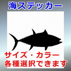 }OQ VGbg C 썑 OΉ h XebJ[ V[