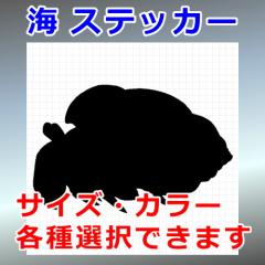 hJ VGbg C 썑 OΉ h XebJ[ V[