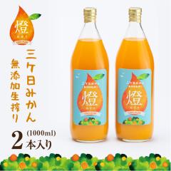 ���Z�� �O�����݂��� 100�� �W���[�X -�� ������- 1000ml�~2�{�� �I�����W�W���[�X �M�t�g ������ ���Ε� ��̓� ���̓�