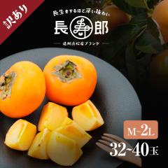 Y Y` 󂠂 M`2LE32`40ʁi8.5kgj Blk啽Y `