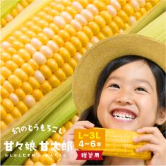 �����p �É����Y�Ƃ����낱�� �ÁX�� �Ñ��Y L�`3L�T�C�Y4�`6�{���� ���Ԑ��ʌ��� ���񂩂�ނ��� ���񂽂낤 �M�t�g