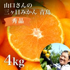 �O�����݂��� �� 4kg S�`LL�T�C�Y �G�i���� �Z���ȊÂ��قǂ悢�_���̃o�����X����i �Z���n�݂��� ���݂���Ɠ��̒����s�����o�ďn