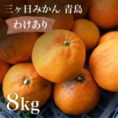 �󂠂� �O�����݂��� ���Z���n�݂���  8kg �Y�n����  �O�P�� �� ���B�݂���