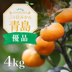 �O�����݂��� �� 4kg S�`3L�T�C�Y �D�i���� ���݂���Ɠ��̒����s�����o�ďn�����ꂽ�H�׍����Y�n������