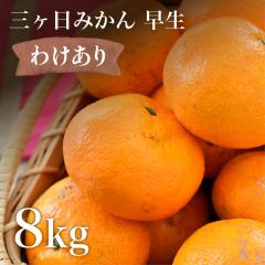 󂠂 O݂  ݂  8kg Yn  OP 킹݂ B݂