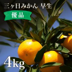 OP݂  4kg Di  ӂꂾʓIZȊÂ݂Ǝ_̃oX▭