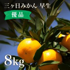 OP݂  8kg Di 11{Jn\ ZȊÂ݂Ǝ_̐▭ȃoXŃs[^[o