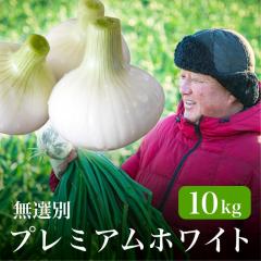 �V���ʂ˂��v���~�A���z���C�g 10kg ���I�� �l�����Y �h���Ȃ� �F���ȊÂ��Ƃ݂��݂����������͔_�ƒ��� ���V�󃌃X�g����