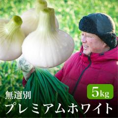 �V���ʂ˂��v���~�A���z���C�g 5kg ���I�� �l�����Y �h���Ȃ� �F���ȊÂ��Ƃ݂��݂����������͔_�ƒ��� ���V�󃌃X�g����